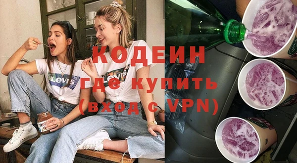 apvp Каменка
