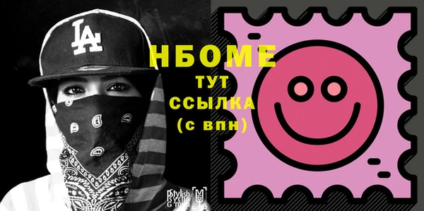 apvp Каменка