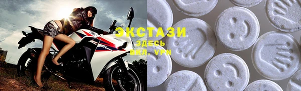 apvp Каменка