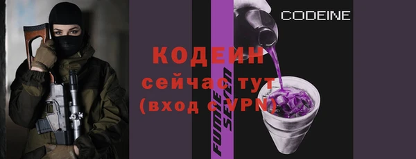 apvp Каменка