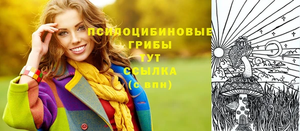 apvp Каменка