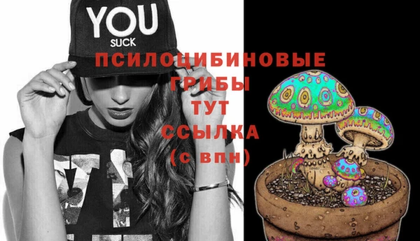 apvp Каменка
