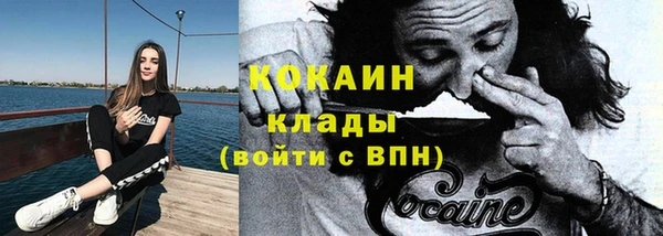 apvp Каменка
