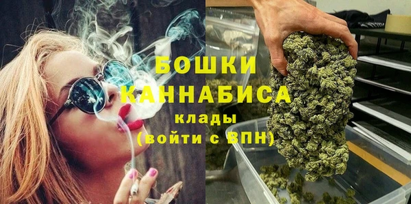apvp Каменка