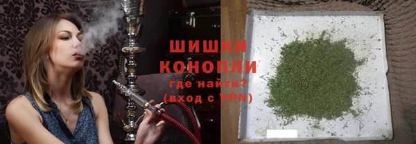 apvp Каменка