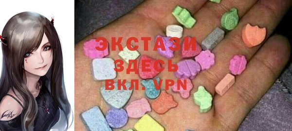 apvp Каменка