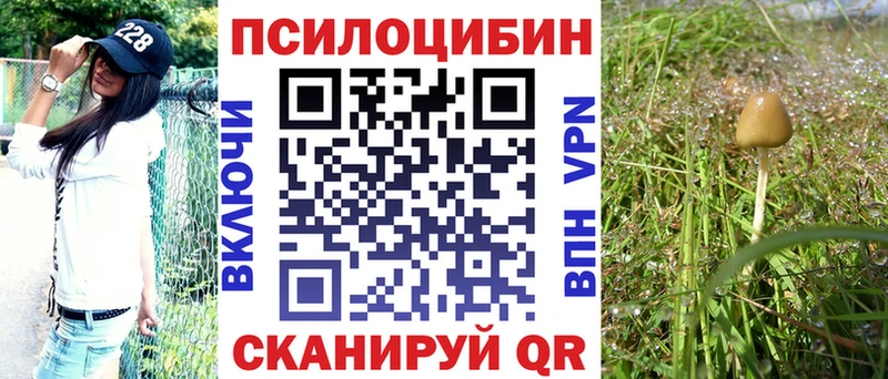 Псилоцибиновые грибы Psilocybine cubensis  Купить закладки  Полярные Зори 